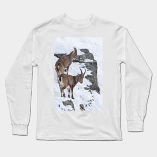 Ibex On Snow Covered Hill Long Sleeve T-Shirt